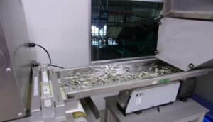 海産物問屋の生産ライン